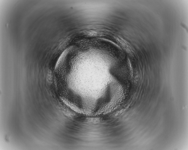 X0000094940469200712201118