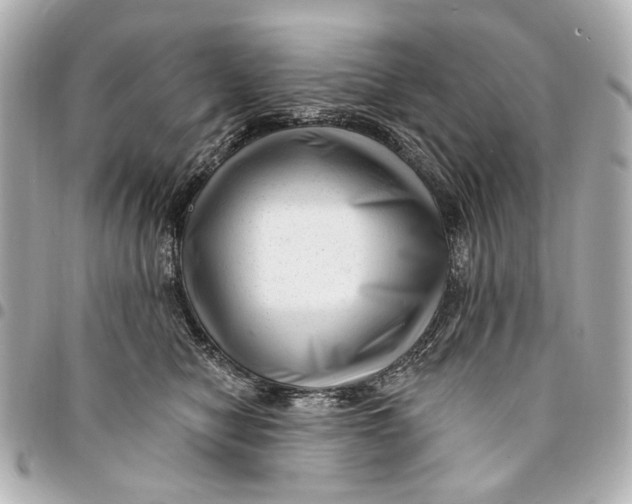 X0000094940470200712201118