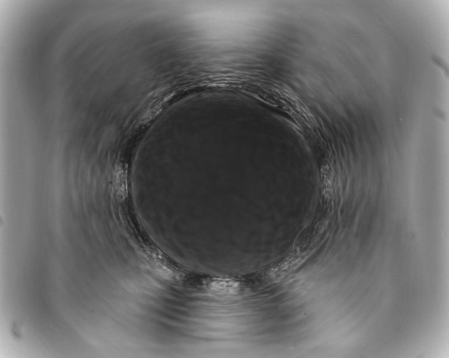 X0000094940471200712201118