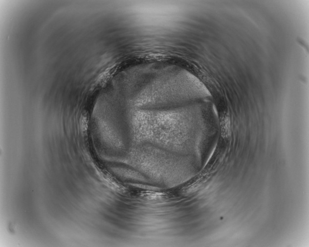 X0000094940472200712201118