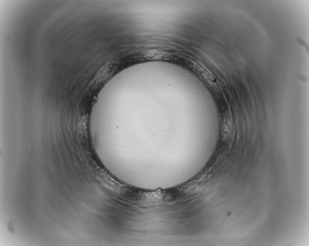 X0000094940473200712201118