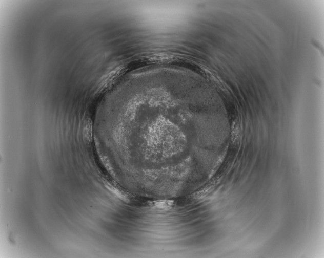 X0000094940474200712201118