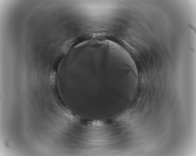 X0000094940475200712201118