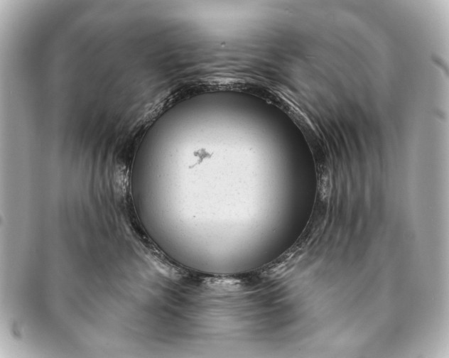 X0000094940476200712201118