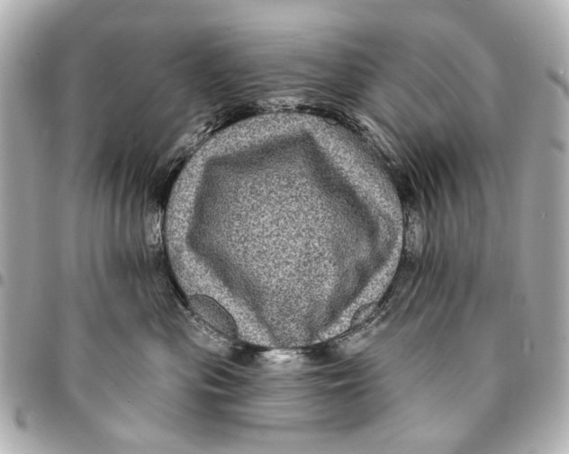 X0000094940477200712201118