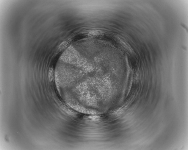 X0000094940478200712201118