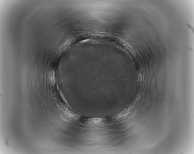 X0000094940479200712201118