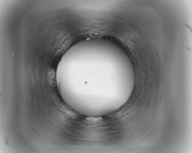 X0000094940480200712201118