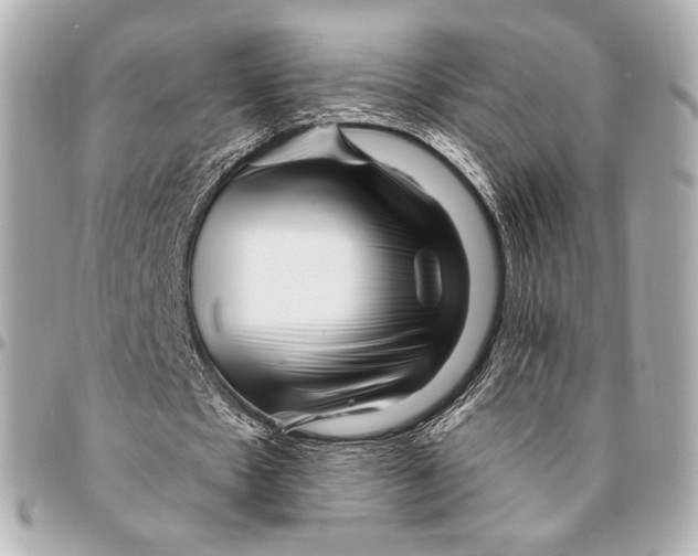 X0000094940481200712201118