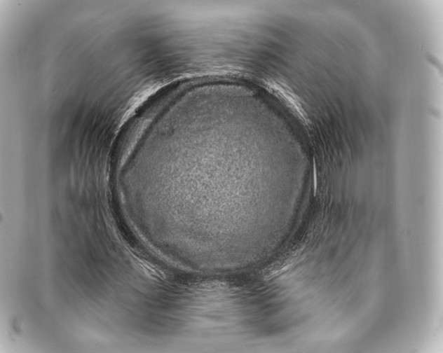 X0000094940483200712201118