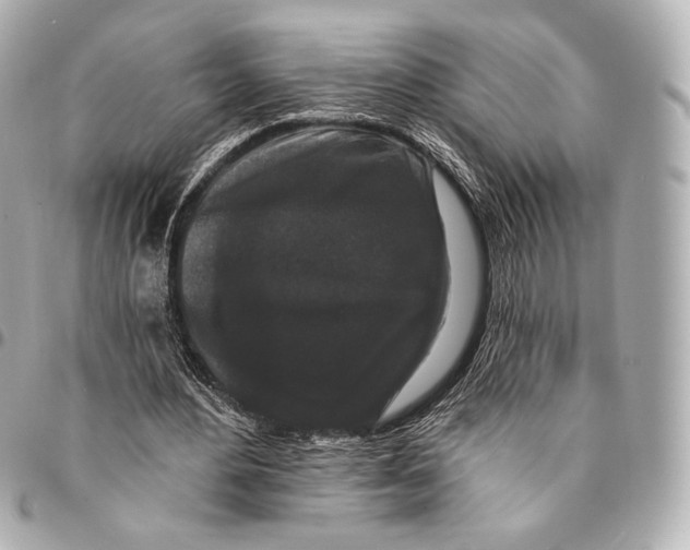 X0000094940484200712201118