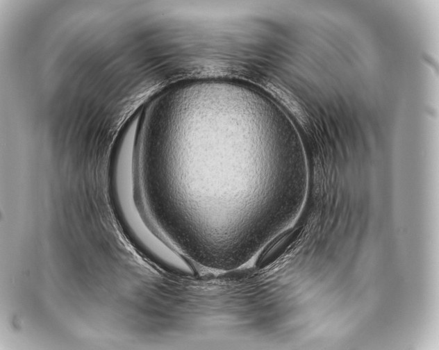 X0000094940485200712201118