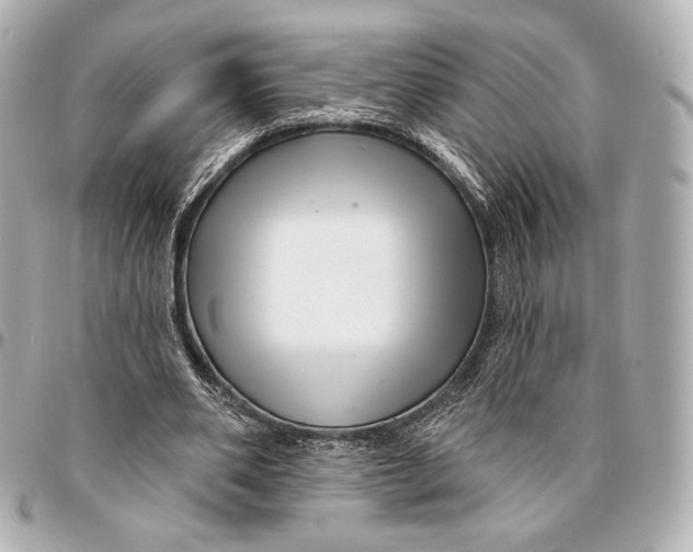 X0000094940486200712201118