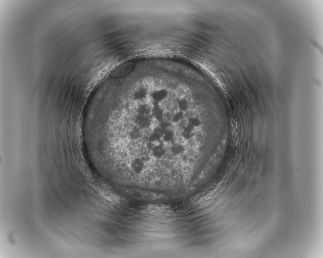 X0000094940487200712201118