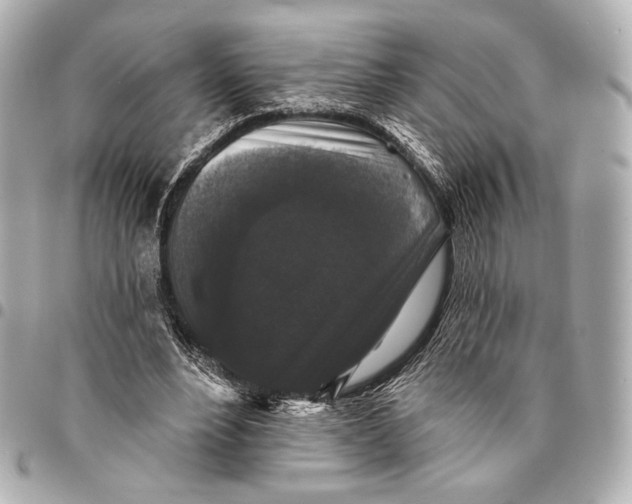 X0000094940488200712201118