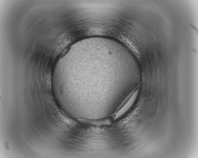 X0000094940489200712201118