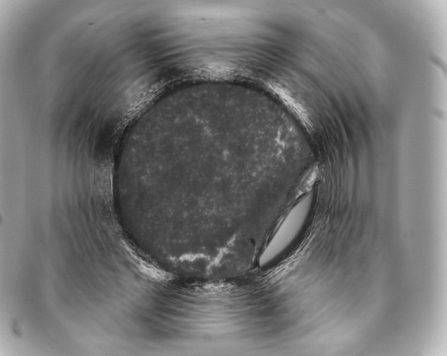 X0000094940493200712201118