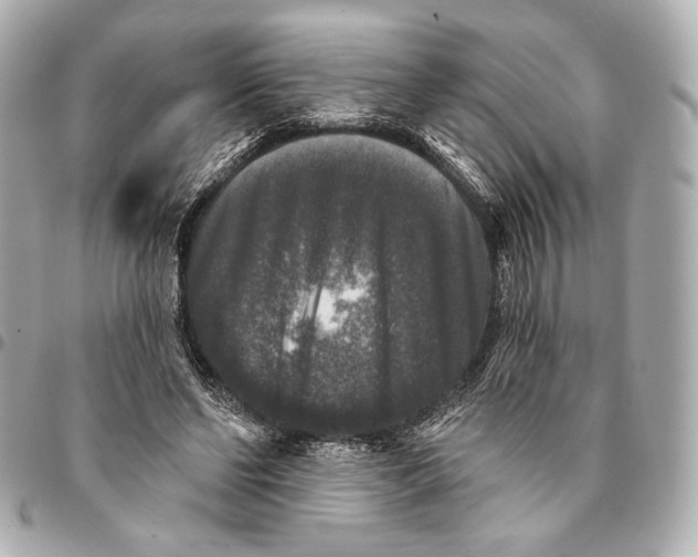 X0000094940494200712201118