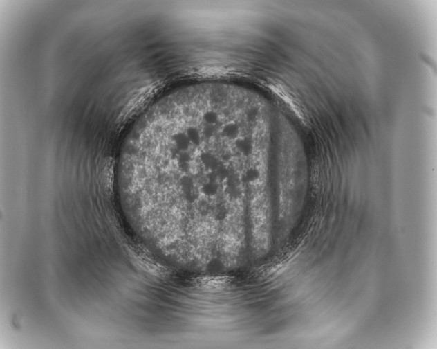 X0000094940495200712201118