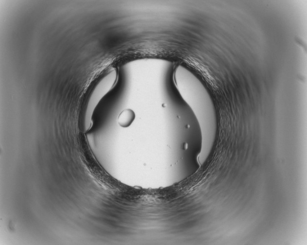 X0000094940496200712201118