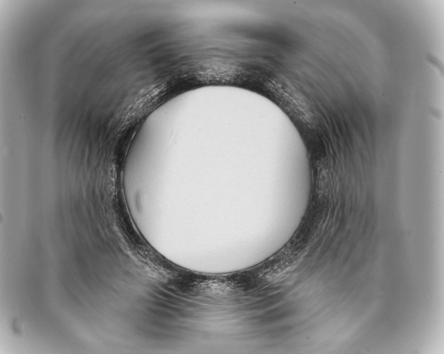 X0000094940498200712201118