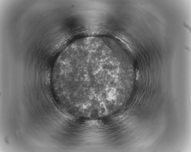 X0000094940499200712201118