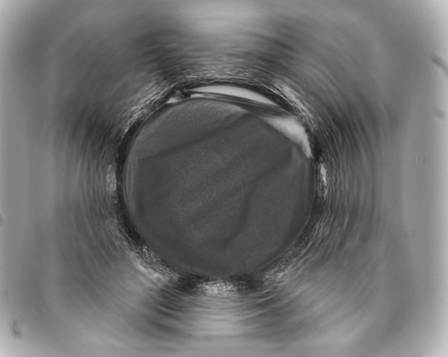 X0000094940500200712201118