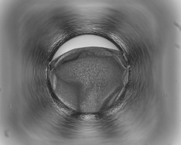 X0000094940501200712201118