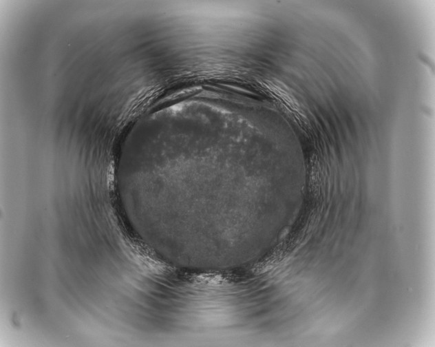 X0000094940502200712201118