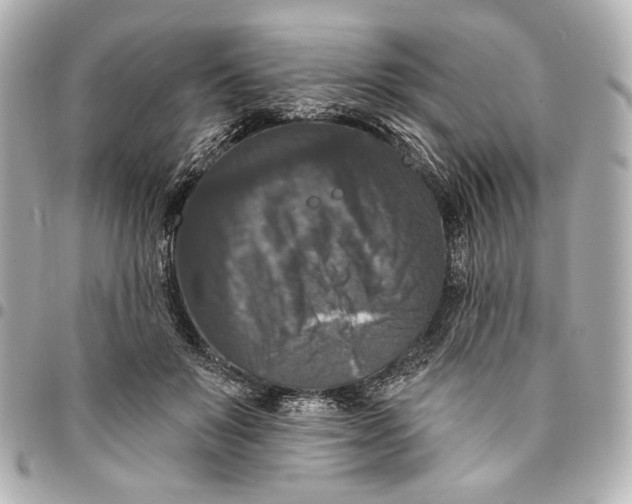 X0000094940503200712201118