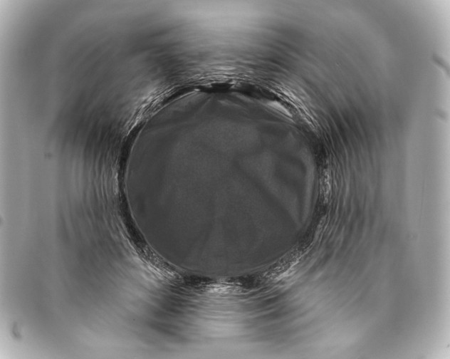 X0000094940504200712201118