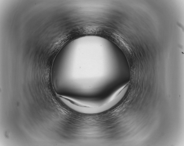 X0000094940505200712201118