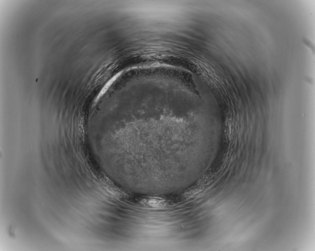 X0000094940506200712201117