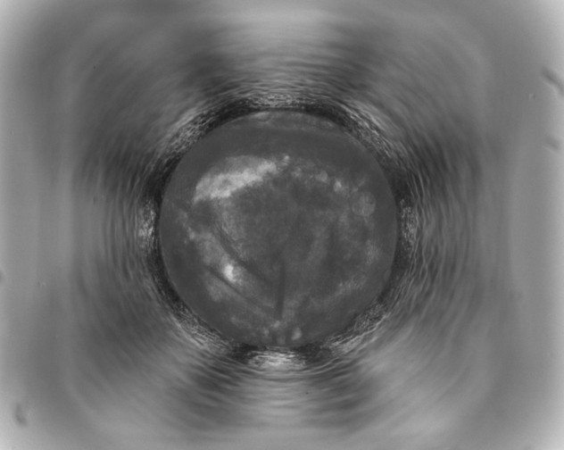 X0000094940507200712201117