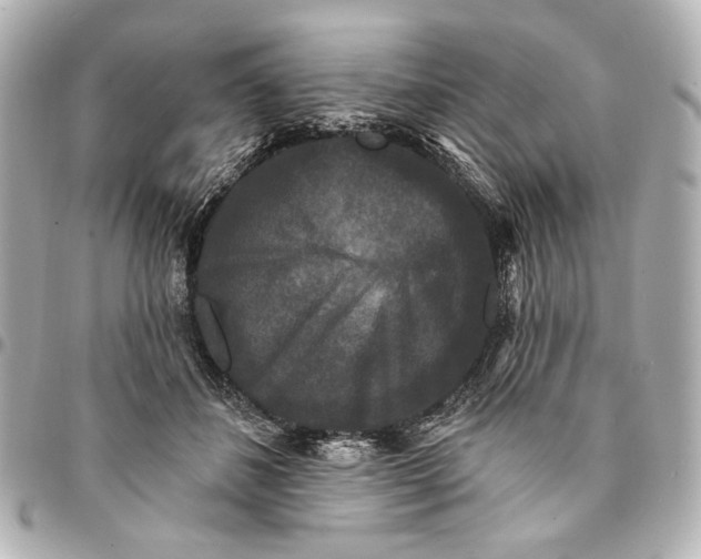 X0000094940508200712201117