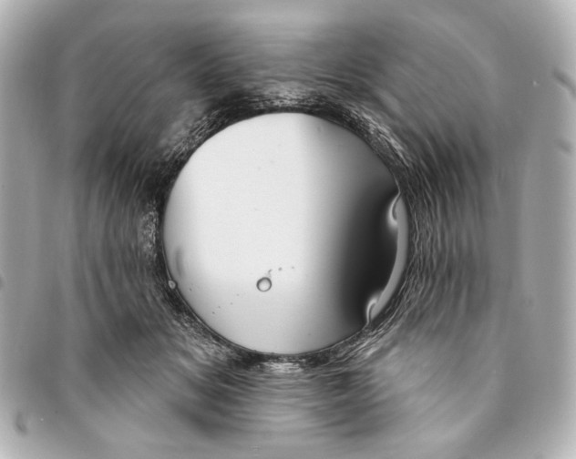 X0000094940509200712201117