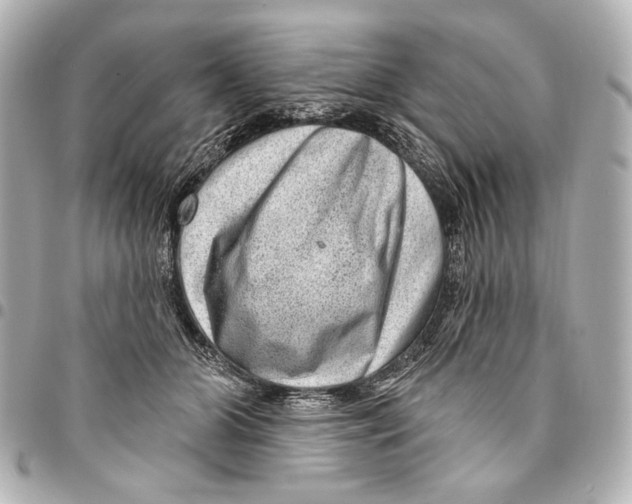 X0000094940510200712201117