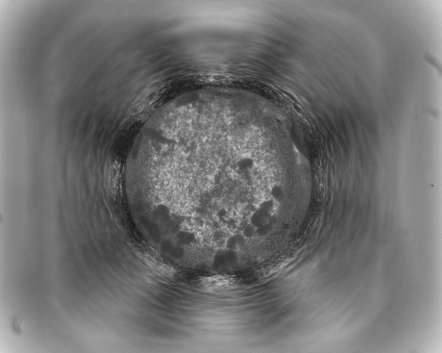 X0000094940511200712201117