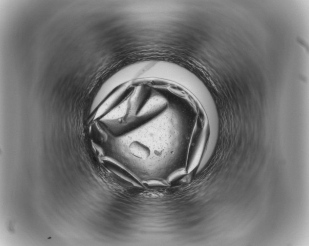 X0000094940512200712201117