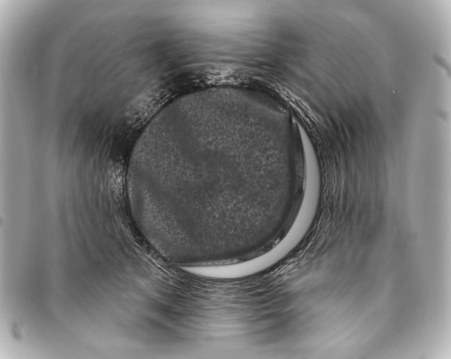 X0000094940513200712201117