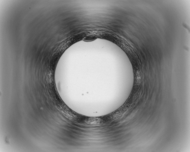 X0000094940514200712201117