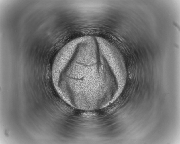 X0000094940515200712201117