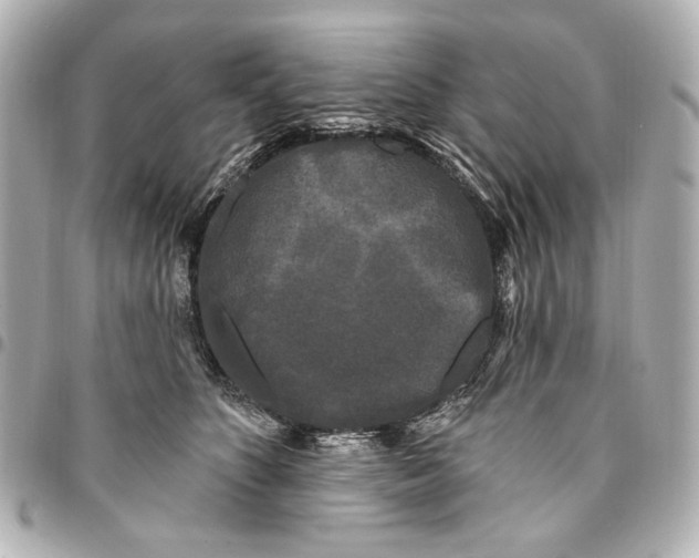 X0000094940516200712201117