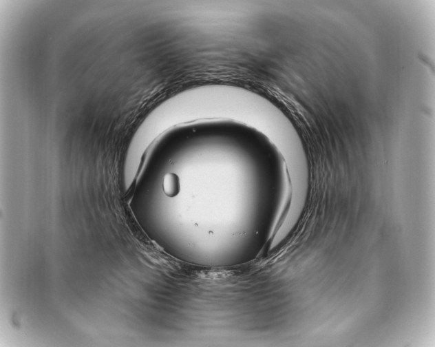 X0000094940517200712201117