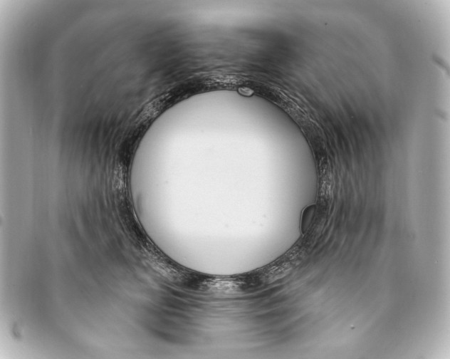 X0000094940518200712201117