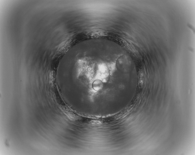 X0000094940519200712201117