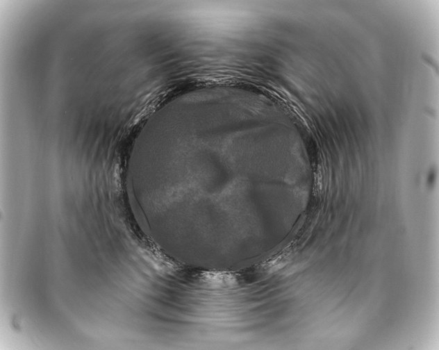 X0000094940520200712201117