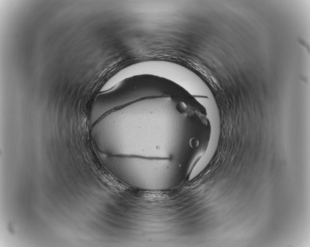 X0000094940521200712201117