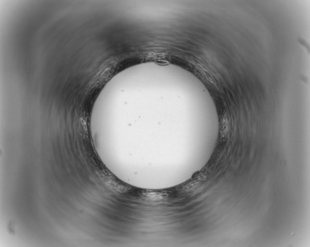 X0000094940522200712201117