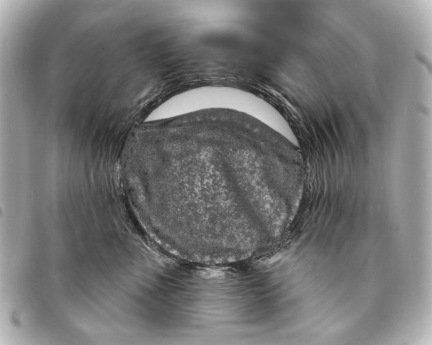 X0000094940523200712201117